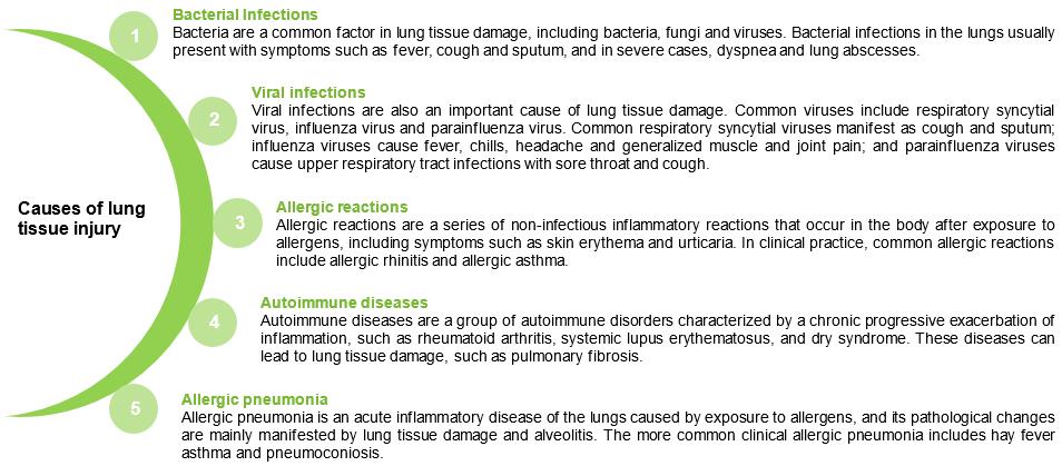 Fig.1 Lung damage causes. (Creative Biolabs Original)